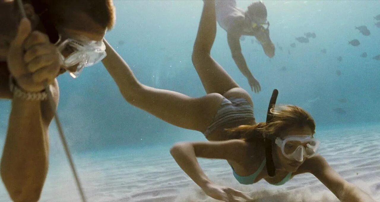 Basilicon Naturist Brunoniaceae Perissodactylous Whimbrel